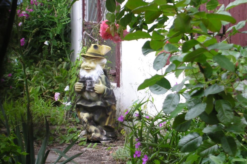 Grüße vom Gartenzaun. Foto: L-IZ.de