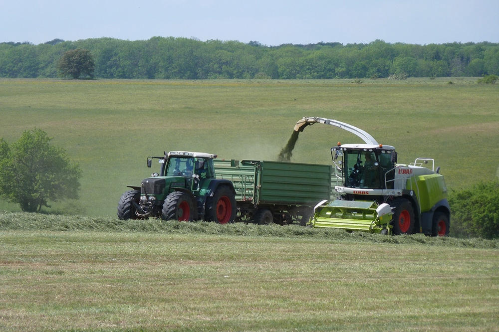 Insbesondere ist die Zahl derjenigen insektenfressenden Vögel zurückgegangen, die auf landwirtschaftlich genutzten Flächen wie Äckern, Wiesen und Weiden leben. Foto: iDiV, Klaus Valentin