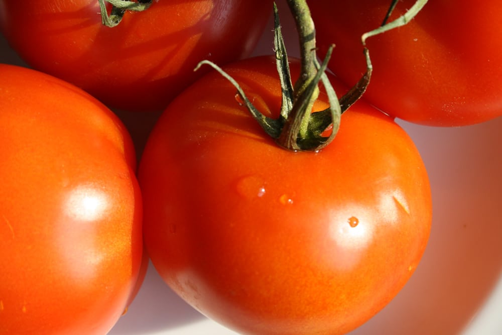 Ein paar leckere Tomaten zum Frauentag. Foto: Ralf Julke