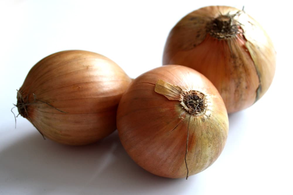 Einst der Ruhm der Stadt Borna: die Zwiebel. Foto: Ralf Julke