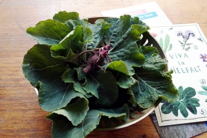 &Uuml;brigens, Topinambur und Wildkohl gaben meiner Gem&uuml;sesuppe eine vorz&uuml;gliche Note. Foto: Olav Amende