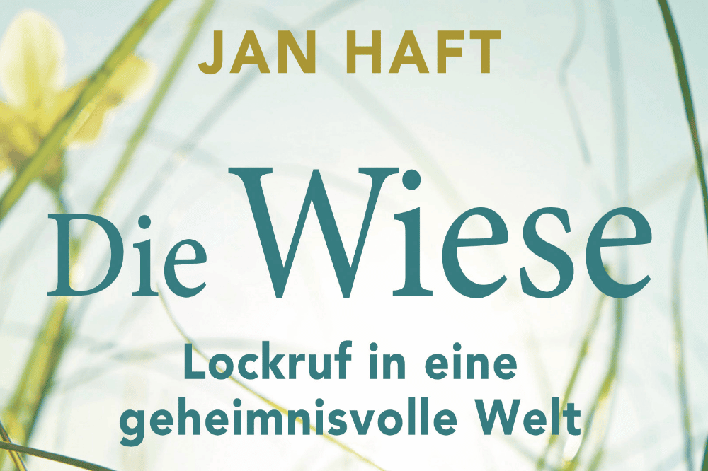 Ausschnitt Buchcover. Quelle: Lehmanns Media