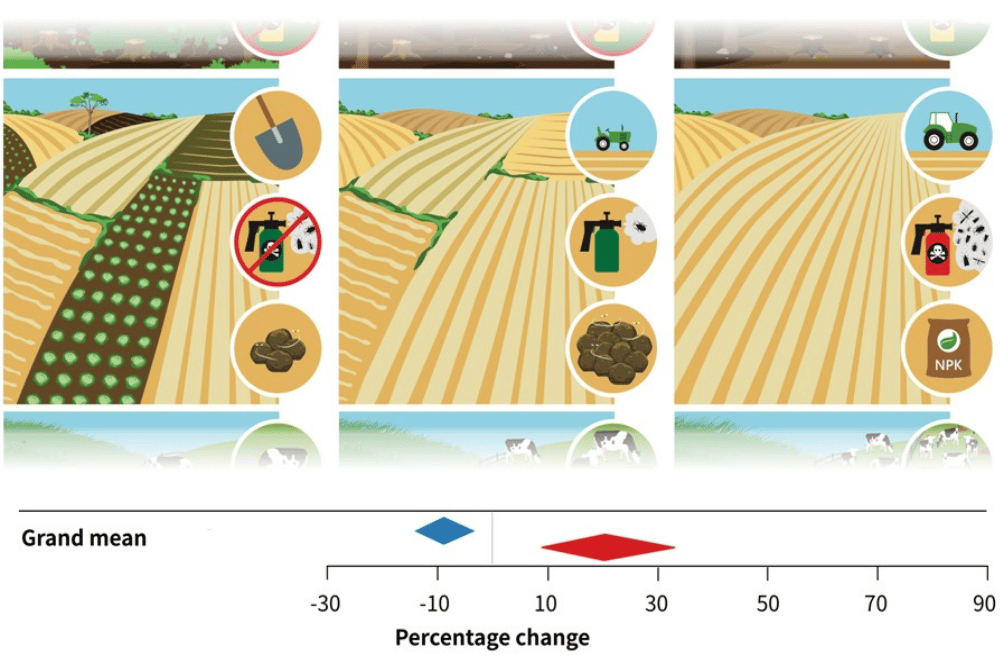 Die Intensität der Landnutzung lässt sich anhand verschiedener Indikatoren ableiten (z.B. manuelle Bearbeitung von Ackerland oder Verzicht auf Pestizide -> niedrige Intensität / Nutzung großer Maschinen und chemischem Dünger -> hohe Intensität). In den drei dominierenden Produktionssystemen (Lebensmittel, Futtermittel, Holz) erhöht die Intensivierung den Ertrag (+ 20,3%, roter Pfeil), führt jedoch auch zu einem Artenverlust (-8,9%, blauer Pfeil). Bild: UFZ