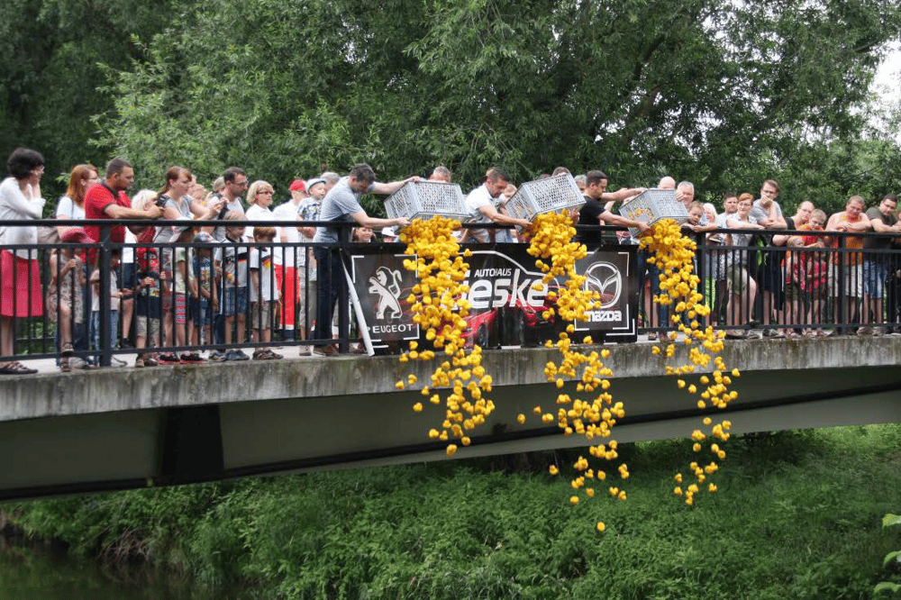 Entenrennen 2018. Foto: Stadtverwaltung Eilenburg
