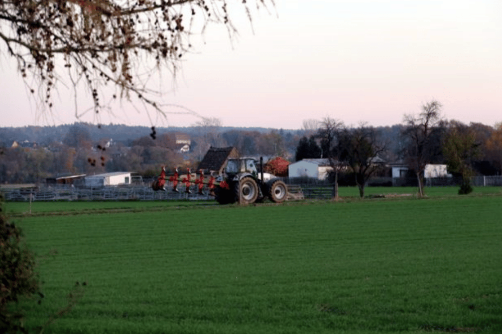 Land-Idylle 40 Minuten vor Leipzig bei Grimma. Foto: Michael Freitag