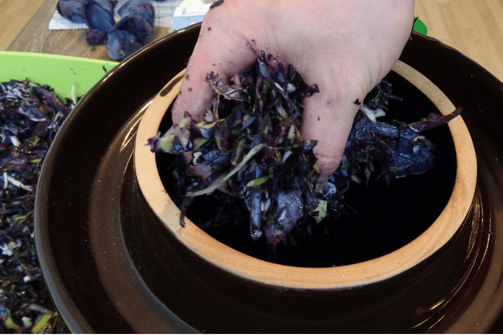 Sauerkraut machen. Foto: erleb-bar