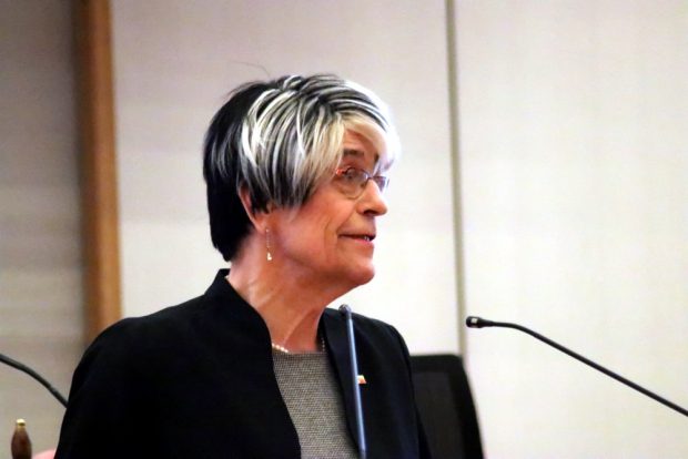 Schwäbischer Kartoffelsalat mit Naomi-Pia Witte (FDP, Freibeuter). Foto: L-IZ.de