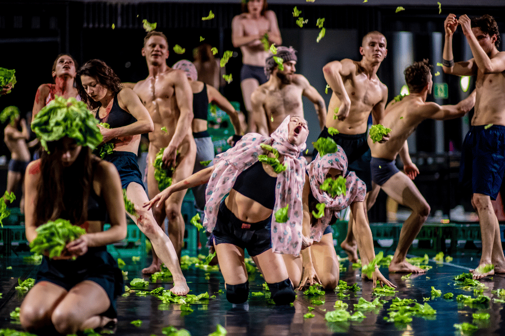 Solidaritot © M. Zakrzewski