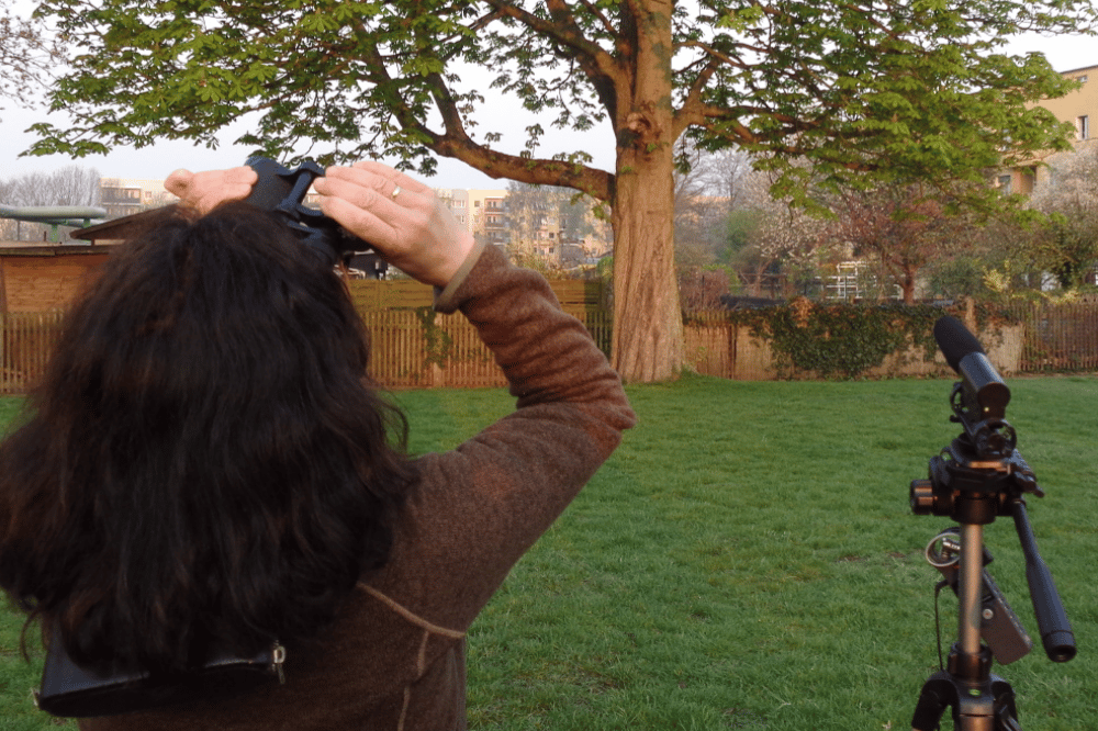 Vogelstimmen-Exkursion mit Feldstecher. Foto: erleb-bar