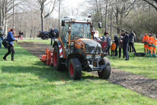 Der Blühstreifen wird in die Wiese am Johannaparkweg gefräst. Foto: Ralf Julke