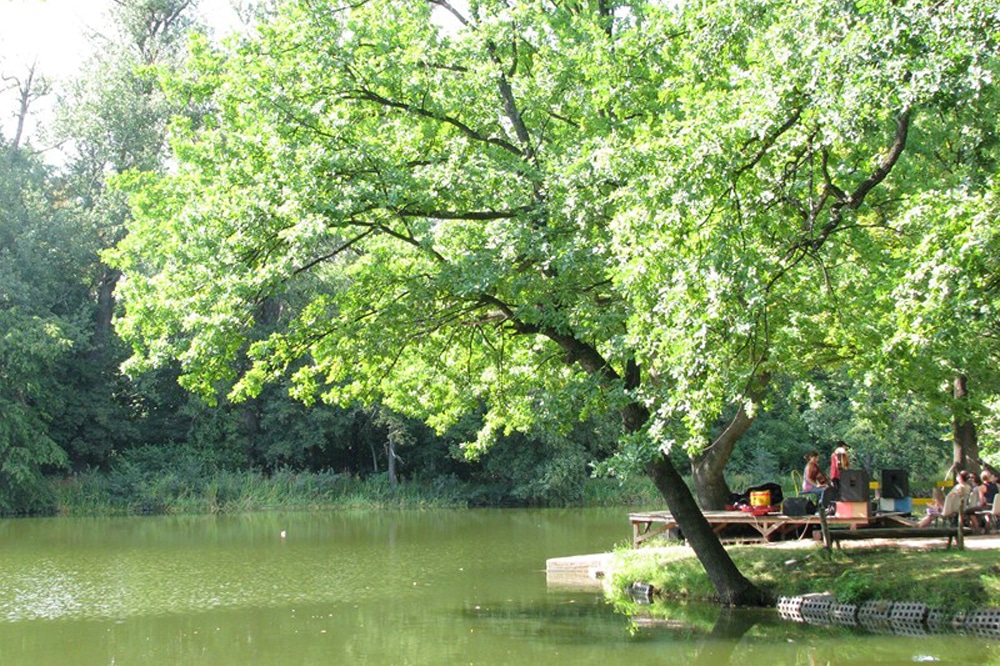 Der Ulrichsteich in Lindenau. Foto: KAOS, Maria Schüritz