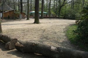 Der neu gebaute Weg am Glashaus und eine von Fahrspuren zerfurchte Schlammfläche. Foto: Ralf Julke