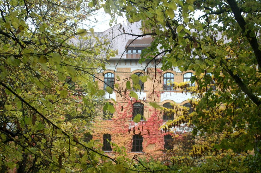 Blick vom Haus der Demokratie zur Apollonia-von-Wiedebach-Schule. Foto: Ralf Julke