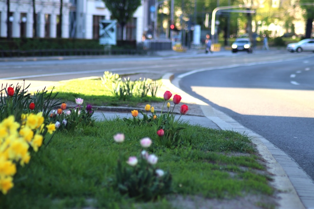 Ein Leben in der urbanen Großstadt heißt Verkehr, Umweltschutz und Ausgleich von Interessen. Die Ökolöwen mit ihren hausazfgaben für den neuen Stadtrat. Foto Michael Freitag