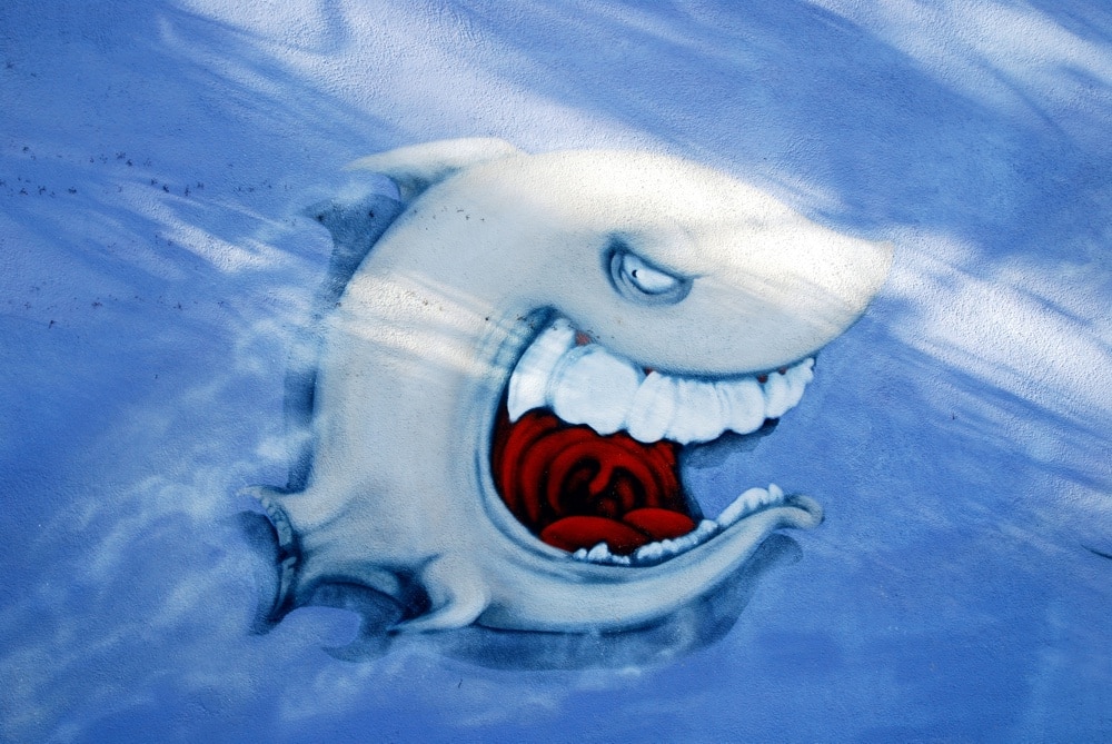 Wo lernen die jungen Menschen schwimmen? (der Hai am Schreberbad, mittlerweile übermalt). Foto: L-IZ.de