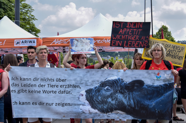 Archivbild: Stuttgart für die Schließung aller Schlachthäuser 2018. Foto: Johnny Ho