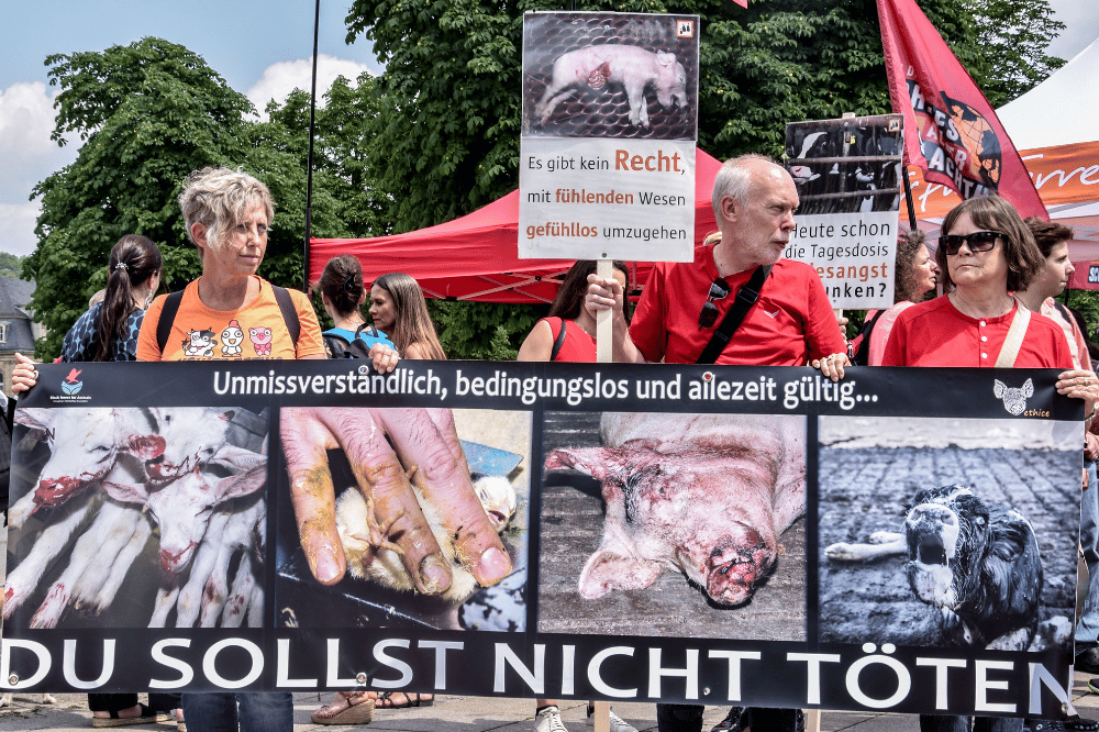 Stuttgart für die Schließung aller Schlachthäuser 2018. Foto: Johnny Ho