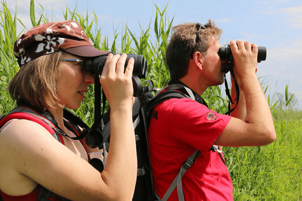 Vogelbeobachtung - Foto: NABU/Iris Barthel