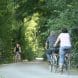 Radfahrer im südlichen Auenwald. Foto: Ralf Julke
