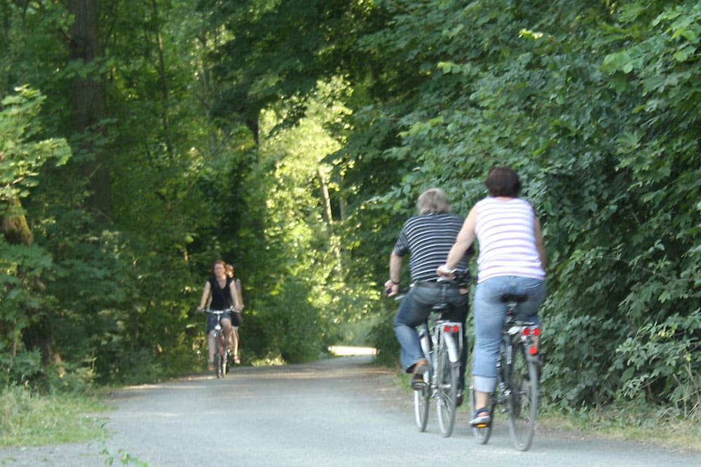 Radfahrer im südlichen Auenwald. Foto: Ralf Julke