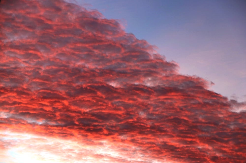 Angriff der roten Killerquallen über Leipzig oder doch nur chemische Kriegsführung gegen die eigene Bevölkerung? Es ist alles möglich, für die "anderen Bürger". Foto: L-IZ.de