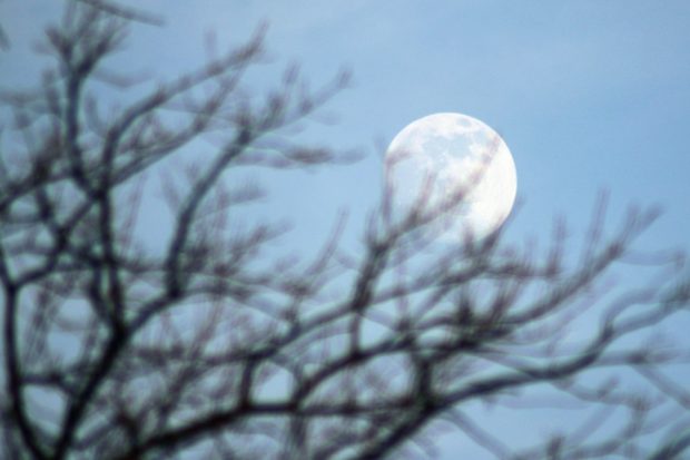 Und auf der Rückseite lebt ... na, das weiß man doch. Foto: L-IZ.de
