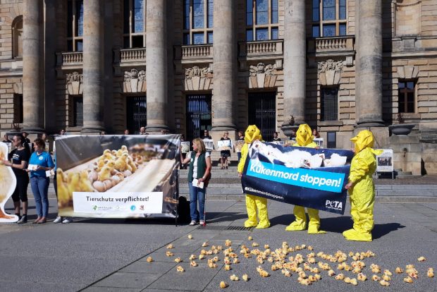 Protest gegen das Kükentöten vor dem Bundesverwaltungsgericht. Foto: René Loch