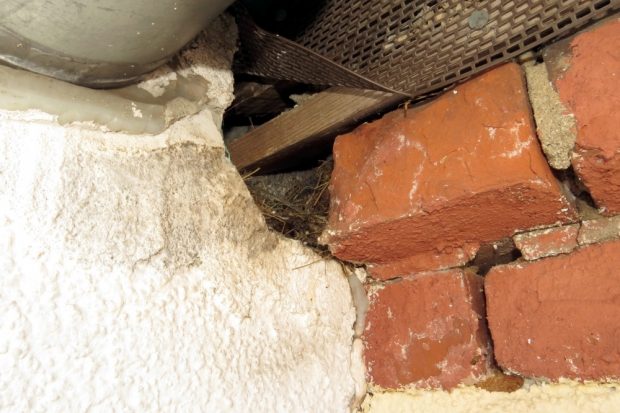 Nach der Befreiungsaktion des NABU am gestrigen 8. Juni 2019. Foto: NABU Leipzig, Wildvogelhilfe