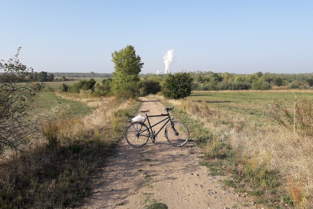Wo vorher ein Feldweg auf die Magdeborner Halbinsel führte ... Foto: Uferleben e.V.