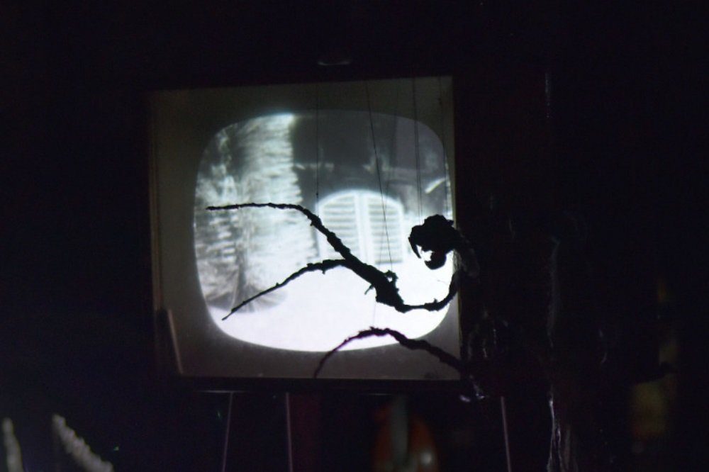 Probenfoto: Thilo Neubacher