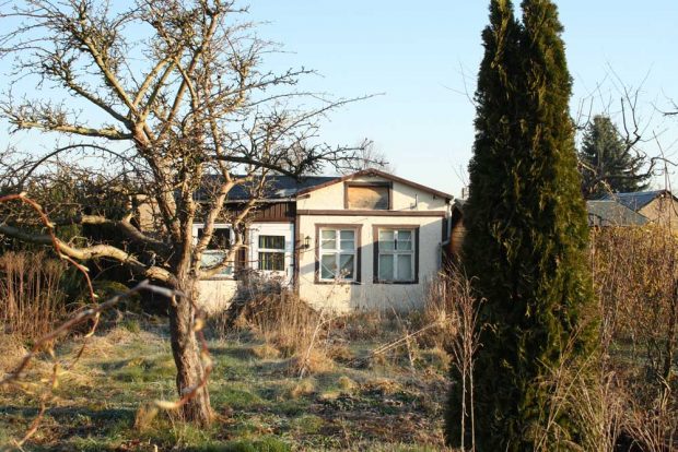 Kleingarten im Februar. Foto: Ralf Julke