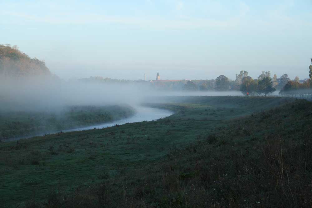 Frühnebel über der Neuen Luppe. Foto: Ralf Julke