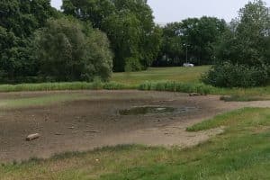 Der leere Teich im Rosental. Foto: Claus Reinhardt