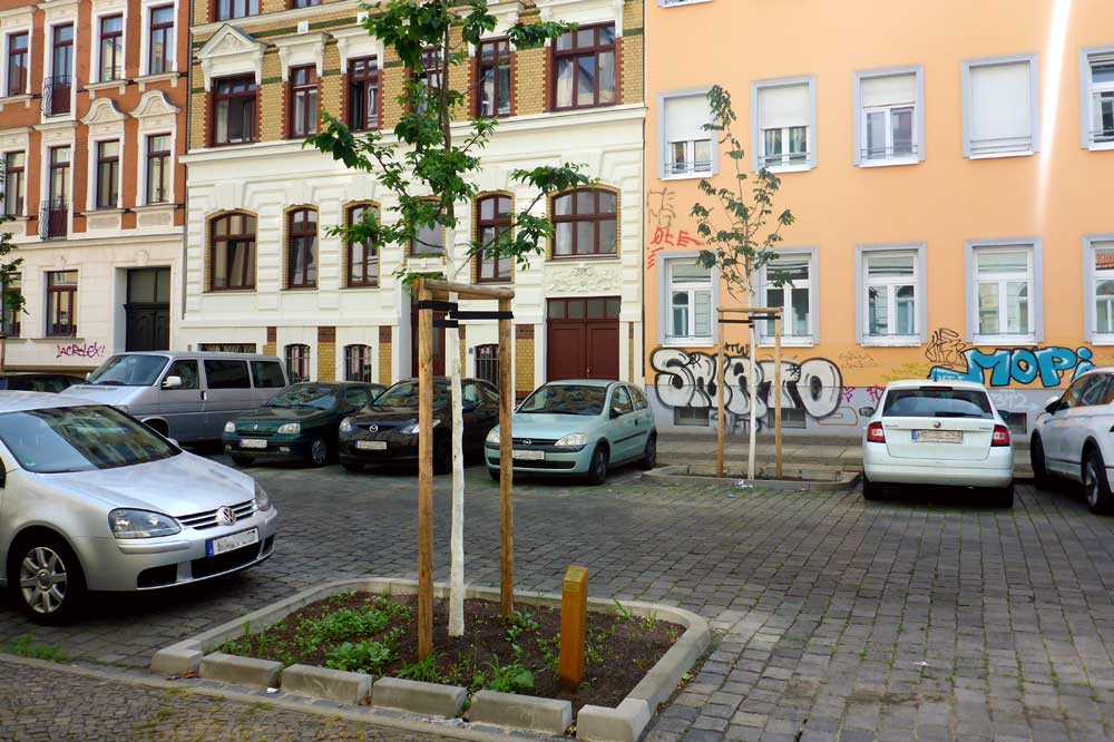 Neue Straßenbäume im Leipziger Süden. Foto: Ökolöwe