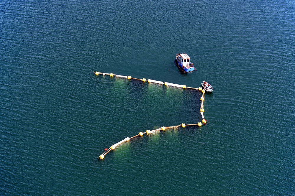 Die Verklappungsstelle im Zwenkauer See. Foto: LMBV