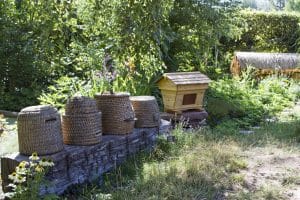 Bei den Entdeckertagen geht es um Beuten und BIenen, Foto: Zoo Leipzig