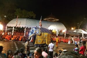 Es lebe der Elefant! Die Parade aus farbenfroh gekleideten Tänzern, Trommlern und Feuerspuckern beim Vollmondfest in Kandy. Foto: Sascha Bethe