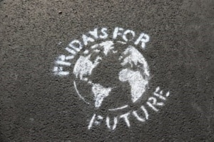 Die Klimabewegung Fridays For Future hat heute ein eigenes Sofortprogramm vorgelegt. Foto: LZ