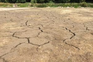 Foto: Untere Wasserbehörde Landkreis Leipzig