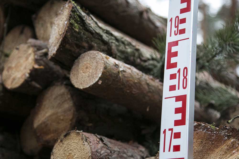 Plantagenholz, gestapelt. Foto: IG BAU