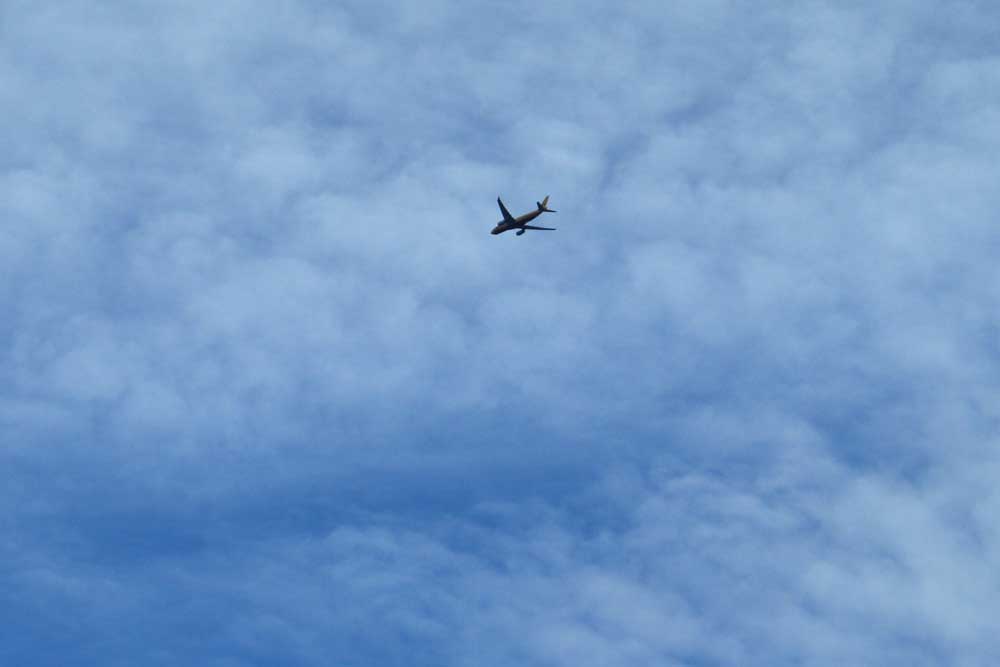 DHL über Leipzig. Foto: Ralf Julke