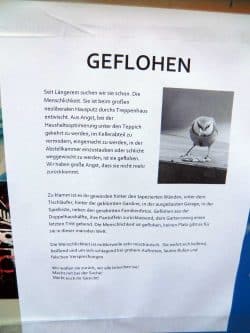 2014 in Schleußig eingefangen. Foto: Marko Hofmann