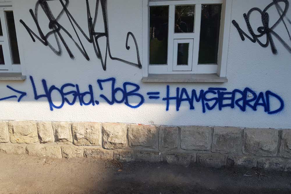 Hamster im Laufrad. Foto: Marko Hofmann