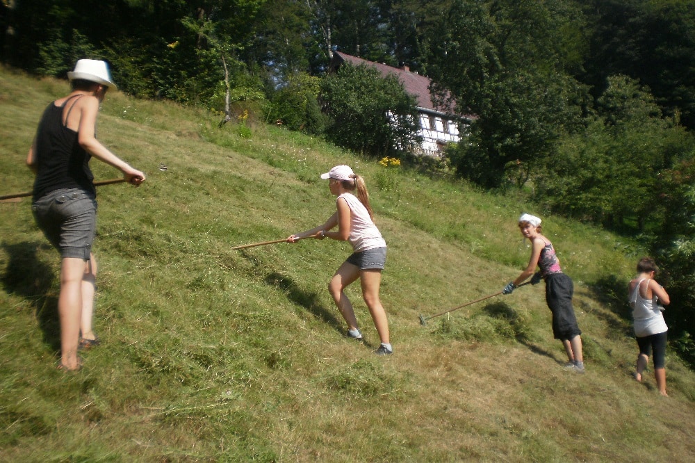 Vier Ehrenamtliche pflegen eine artenreiche Bergwiese im Erzgebirge. Foto: Kay Meister