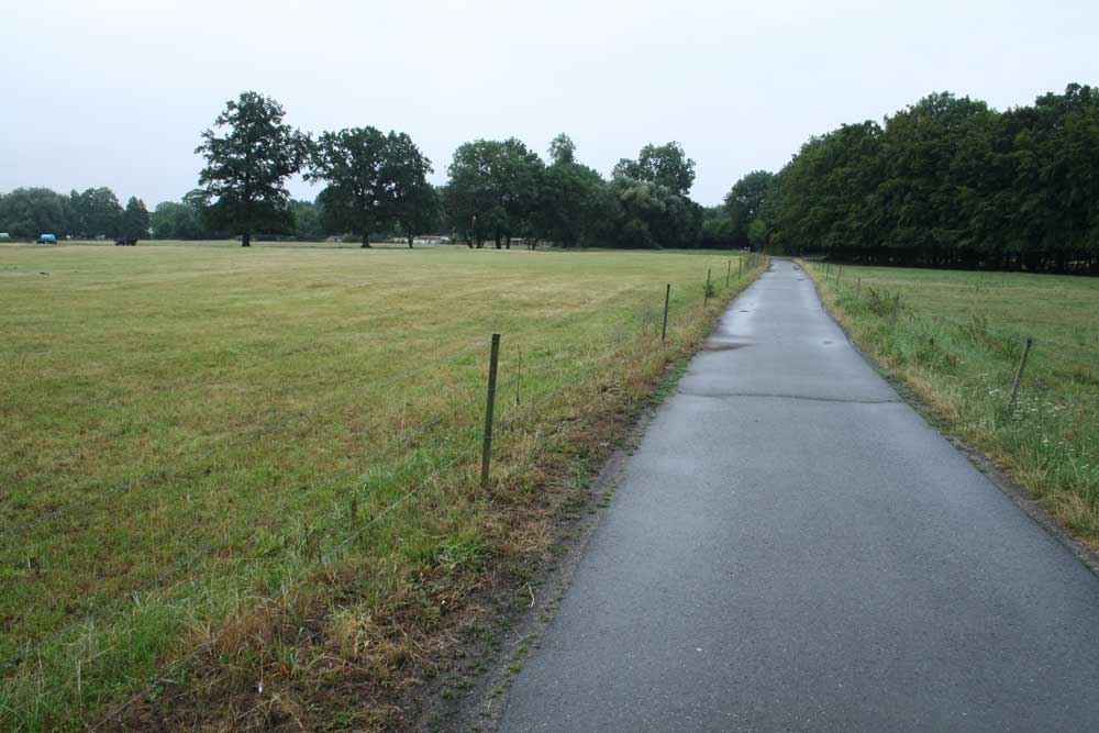 Weiden an der Möncherei. Foto: Ralf Julke
