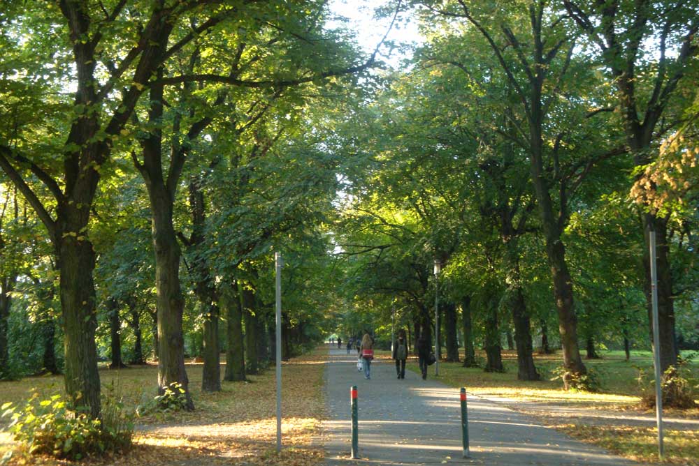 Die Parkallee gegenüber des Schönauer Parks. Archivfoto: Gernot Borriss