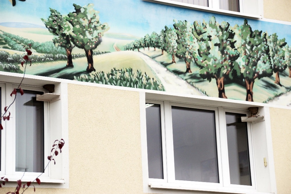 Zwei Schwalbennester am Sachsenobst-Verwaltungsgebäude in Dürrweitzschen. Foto: Philipp Steuer/NABU Sachsen