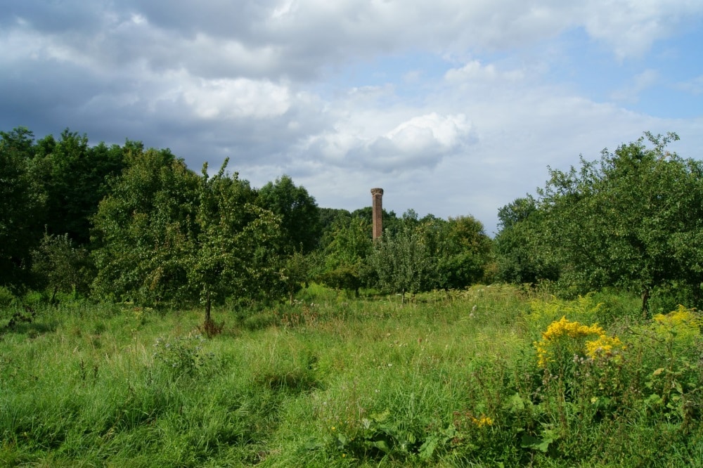 Die NABU-Streuobstwiese Knauthain wird im Rahmen des sächsischen Tagfalterprojekts „Puppenstuben gesucht“ insektenfreundlich gepflegt. Foto: NABU Leipzig