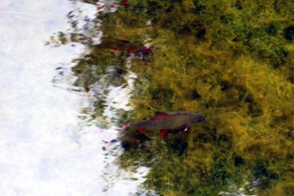 Beispielbild. Foto: L-IZ.de