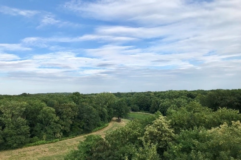 Leipziger Auwald © Karin Lange